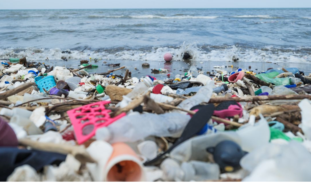 Ocean plastic pollution an overview: data and statistics (Article)
